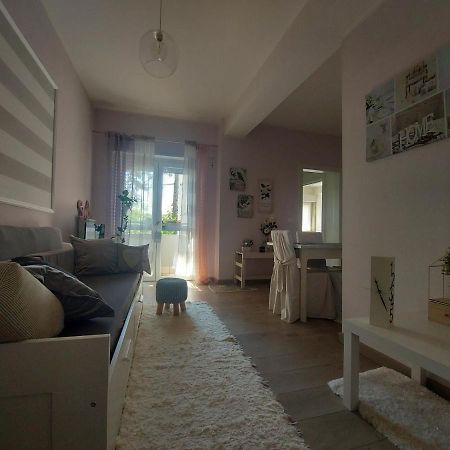 La Pineta - Delightful Small Apartment Near The City Center LʼAquila Eksteriør bilde
