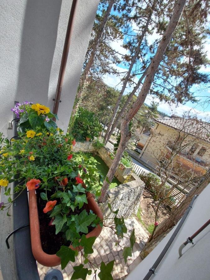 La Pineta - Delightful Small Apartment Near The City Center LʼAquila Eksteriør bilde